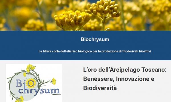 Progetto Biochrysum.